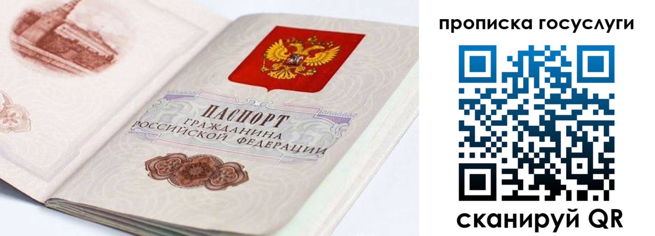 прописка гарантия в Нариманове